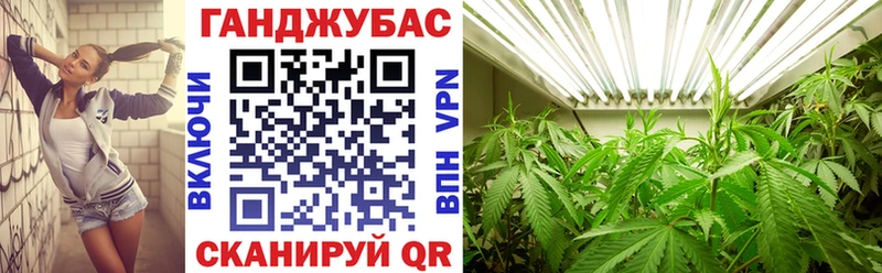 Конопля ГИДРОПОН  omg ссылка  Зуевка  сколько стоит 